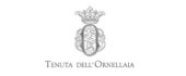 _0013_ORNELLAIA